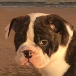 Meet your Posher, Derrick